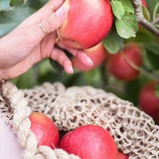 Only picked when perfect